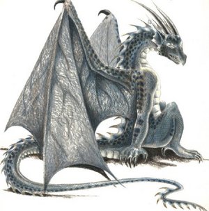 Drak 01